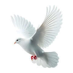 Obraz premium White dove flying peace symbol bird freedom hope faith purity concept on transparent background