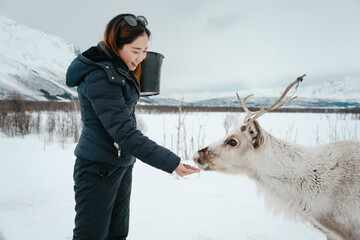 Feeding Reindeer in a Winter Landscape