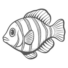 Domino Damselfish Line Art Illustration