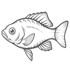 Green Chromis Fish Outline Illustration
