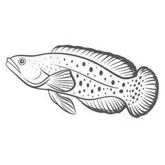 Marine Betta Fish Line Art Illustration