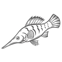 Longnose Hawkfish Outline Vector Illustration