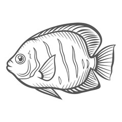 Queen Angelfish Outline Illustration, Holacanthus ciliaris