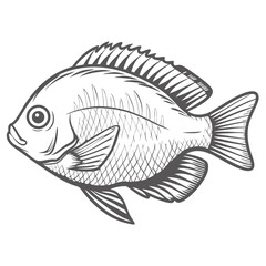 Yellowtail Damselfish Line Art Illustration