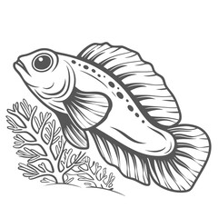 Obraz premium Bicolor Blenny Fish Line Art Illustration