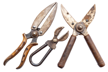 A Collection of Well-Used Antique Garden Pruning Shears Displaying Patina and the Marks of Time