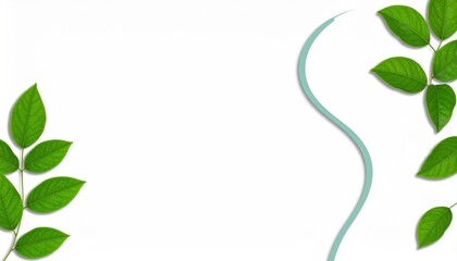 Creating a serene natural background with fresh green leaves in a minimalist style perfect for digital design projects