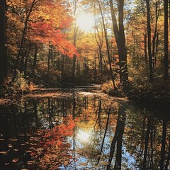 Autumn Forest Path Falling Leaves Scenic Nature Landscape, autumn, forest, path, leaves, falling, scenic, nature, landscape, trees, colorful