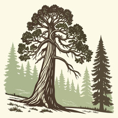 A detailed vector illustration of the President Tree, the iconic giant sequoia in Sequoia National Park, California, showcasing its towering presence and intricate bark texture.