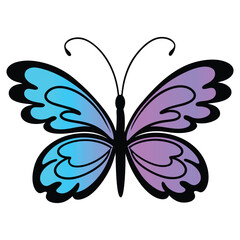 Hand Drawn Cute Butterfly Illustration Vector in Clipart Format