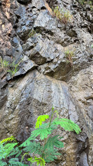 Stone background rock texture nature