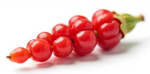 Close-up of dried goji berry branch isolated on white background, healthy, superfood, organic