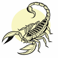 A detailed vector illustration of the venomous Deathstalker scorpion (Leiurus quinquestriatus), highlighting its distinctive features and toxic nature