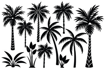 Obraz premium Black and white silhouette of palm trees and tropical plants set