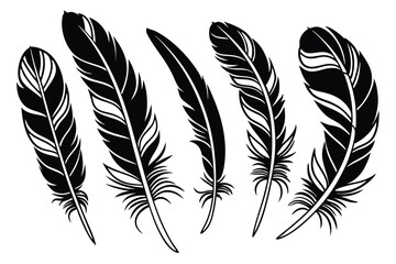 Black and white vector illustration of a collection of different feather shapes