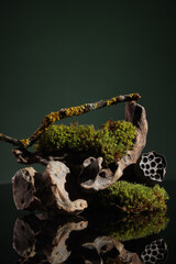 Contemporary still life with dried hydrangea, dried eryngium flowers and brown corkscrew on a dark background Northern natural composition with lichen, moss, branches, dried flowers and driftwood. 