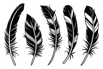 Collection of five black and white feather vector illustrations