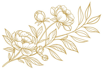 Elegant golden peony floral illustration with buds and leaves on white background