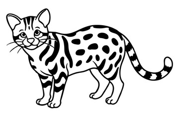 Fine Line Margay