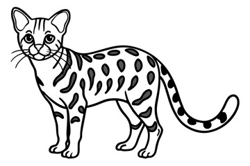 Fine Line Margay