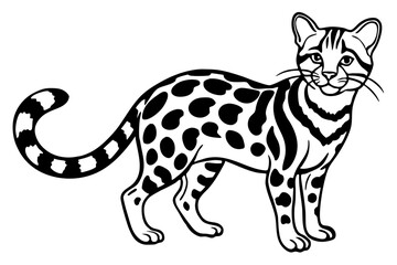 Fine Line Margay