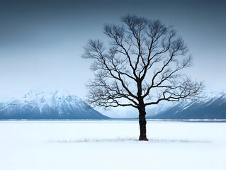 Solitary Winter Tree on Frozen Lake Dramatic Snowy Mountain Background