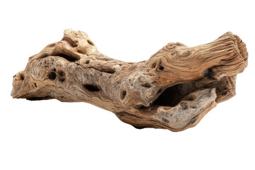 Fototapeta premium Smooth Curved Piece of Driftwood Perfect for Beach Decor or Crafts