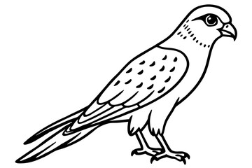 Flying Kestrel Vector