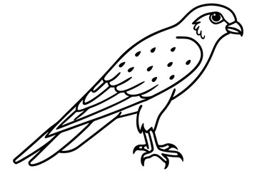 Flying Kestrel Vector