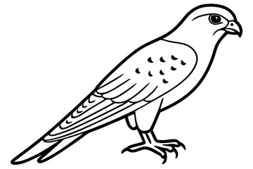 Flying Kestrel Vector