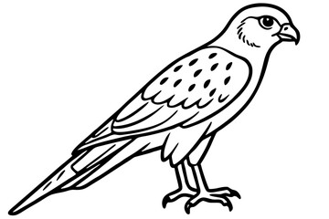 Flying Kestrel Vector