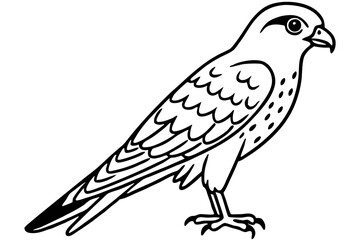 Flying Kestrel Vector