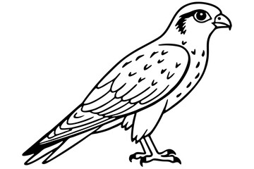 Flying Kestrel Vector