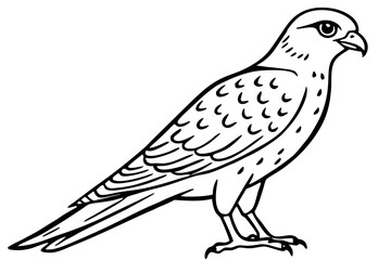 Flying Kestrel Vector