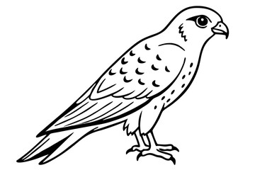 Fototapeta premium Flying Kestrel Vector