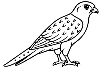 Flying Kestrel Vector