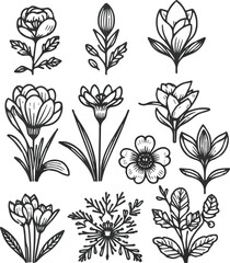 Create a Flowers line icon set. Vector pictograms of magnolia, dandelion, crocus, calla lily, various flower species - azalea, anemone, bird paradise, thin linear illustration vector art.