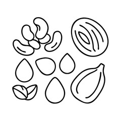 nuts and seeds icon, nuts and seeds line art - simple line art of nuts and seeds, perfect for nuts and seeds logos and icons