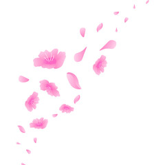 Cherry Blossom Petals