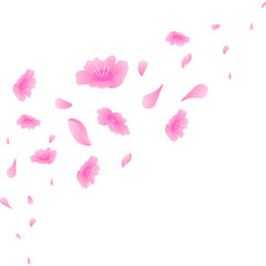 Cherry Blossom Petals