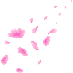 Cherry Blossom Petals