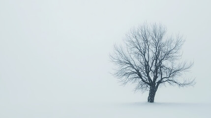 Solitary Tree in Misty Landscape: A lone tree stands resilient in a serene, misty landscape. Its bare branches reach towards the sky.