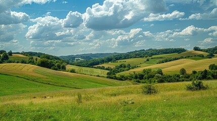 Beautiful summer landscape with green meadow and forest at sunset ,A green field stretches into the distance, with towering mountains forming a majestic backdrop under a clear sky