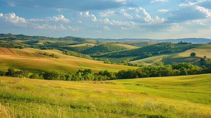 Beautiful summer landscape with green meadow and forest at sunset ,A green field stretches into the distance, with towering mountains forming a majestic backdrop under a clear sky