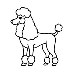 poodle haircut icon, poodle haircut line art - simple line art of poodle haircut, perfect for poodle haircut logos and icons