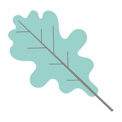 Oak Leaf Autumn Fall Color Element