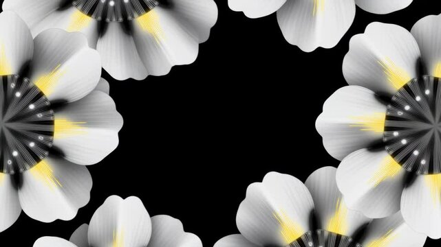 Stylized white flowers with yellow centers framing a dark background