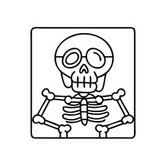 skeleton icon, skeleton line art - simple line art of skeleton, perfect for skeleton logos and icons