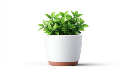 Obraz premium A potted plant sits in a white ceramic pot