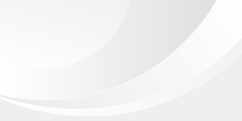 White luxury background curve shape design minimal bright with space for content. vector illustration EPS10.